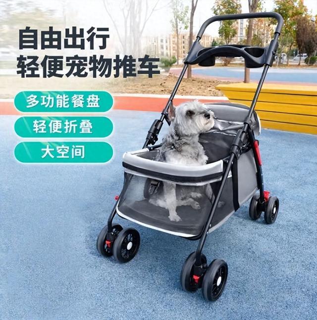 宠开始拟人化 老年犬粮热销 六成用户为情绪健康买单pg电子试玩平台2025宠物消费趋势报告发布：养(图2)