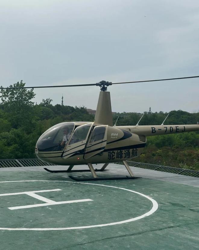 成都宠物消费、低空等体验式新场景爆火pg