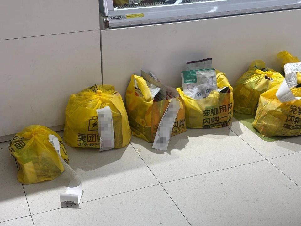 马创始人宠物项目败走线家店全线关闭电子pg游戏9个月烧光17亿？盒(图4)