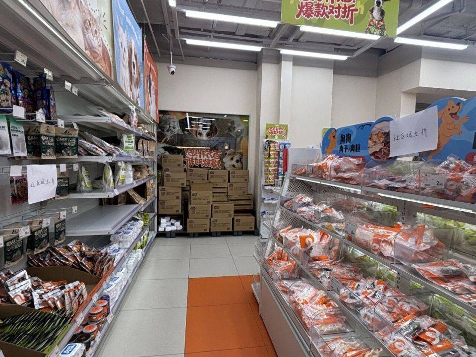 马创始人宠物项目败走线家店全线关闭电子pg游戏9个月烧光17亿？盒(图2)