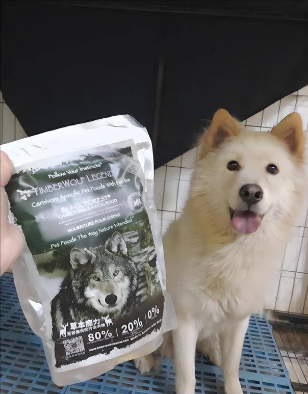 什么狗粮?性价比排行榜单来了pg电子中文模拟器边牧适合吃(图4) 什么狗粮?性价比排行榜单来了pg电子中文模拟器边牧适合吃(图4)