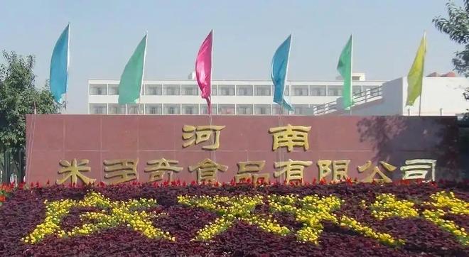 靠5元产品撑起16亿帝国年销151亿片pg电子试玩零食圈又杀出一匹隐形黑马！(图14)