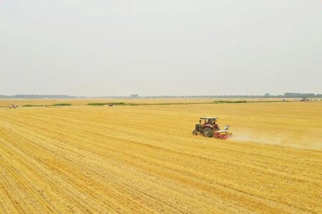 靠5元产品撑起16亿帝国年销151亿片pg电子试玩零食圈又杀出一匹隐形黑马！(图9)